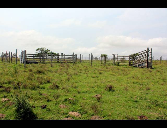 106HA FARM FOR SALE IN EAST LONDON CENTRAL